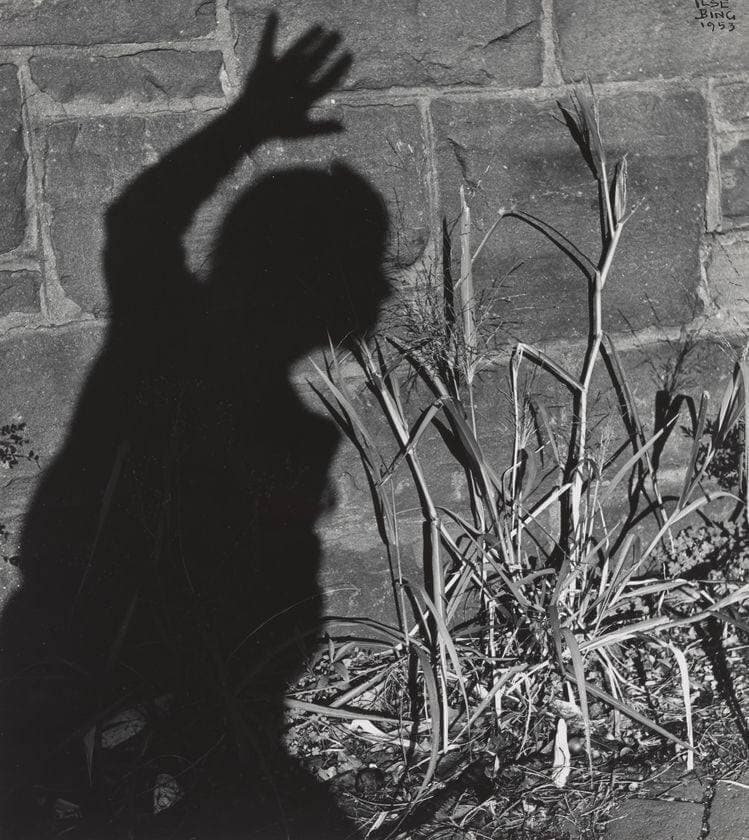 سایه ای بر دیوار 