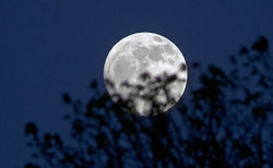 تصویری از گام‌ های ماه در آسمان و یک حدیث زیبا