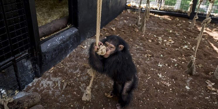 باران در کنیا