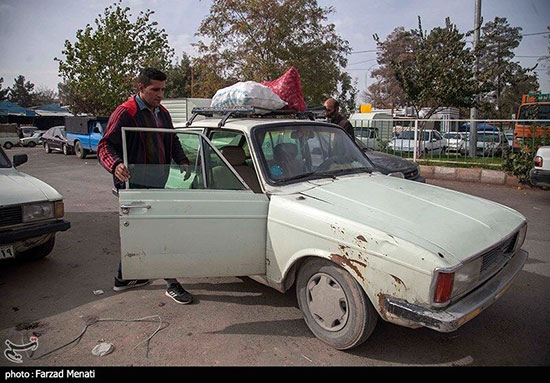  قهرمان جودو