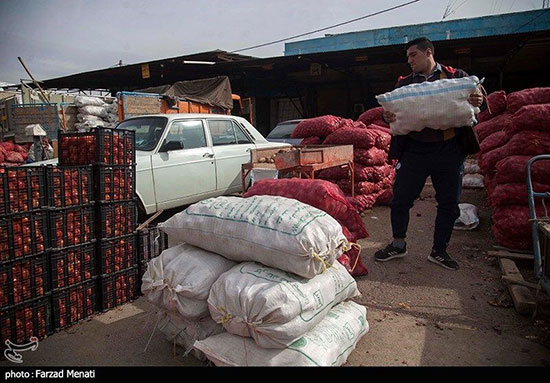 میوه خریدن قهرمان جودو