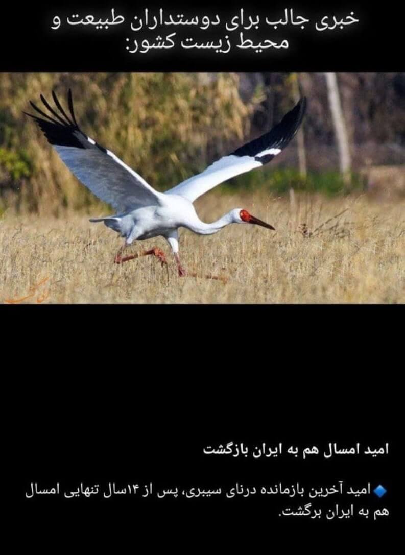 خبر خوب خمسه از محیط زیست