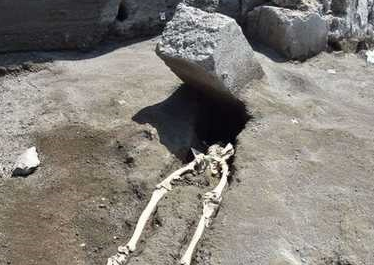 اسکلت اسکلت انسان