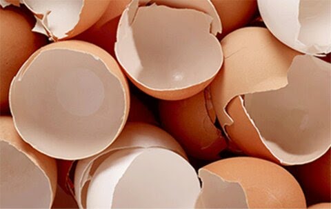 استفاده جذاب از پوسته تخم مرغ در خانه