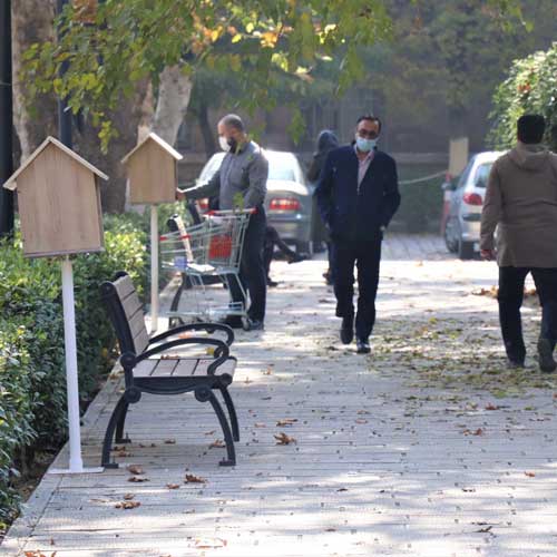 کتابخانه کوچک باغ ملی