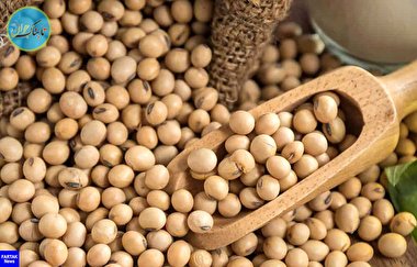 خواص سویا چیست و مصرف آن برای چه کسانی توصیه نمی‌شود؟