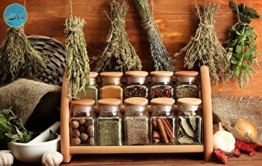 گیاهانی معروف به هضم‌ کننده ‌های طبیعی