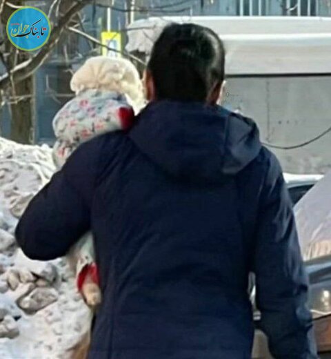 گربه گربه