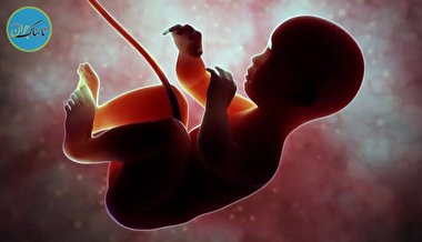 آیا جنین در رحم سکسکه می‌کند؟