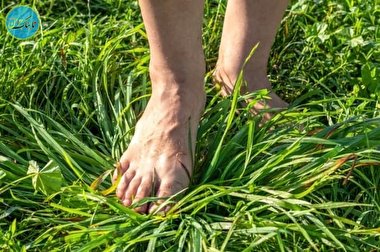 نکاتی مهم در مورد انگشتان پایتان !