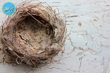 والدین مسن چگونه از پس سندرم آشیانه خالی برآیند؟