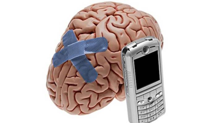 مغز تلفن همراه