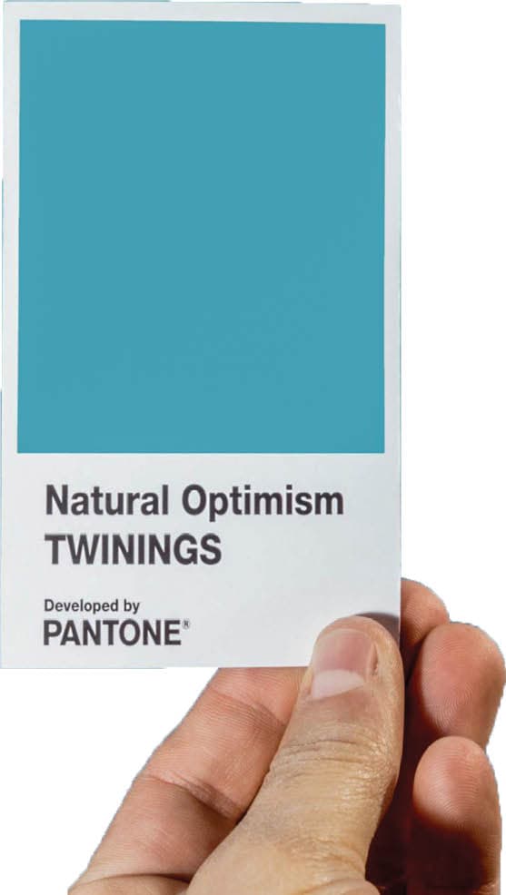 رنگ خوش بینی