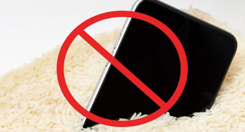 موبایل و برنج