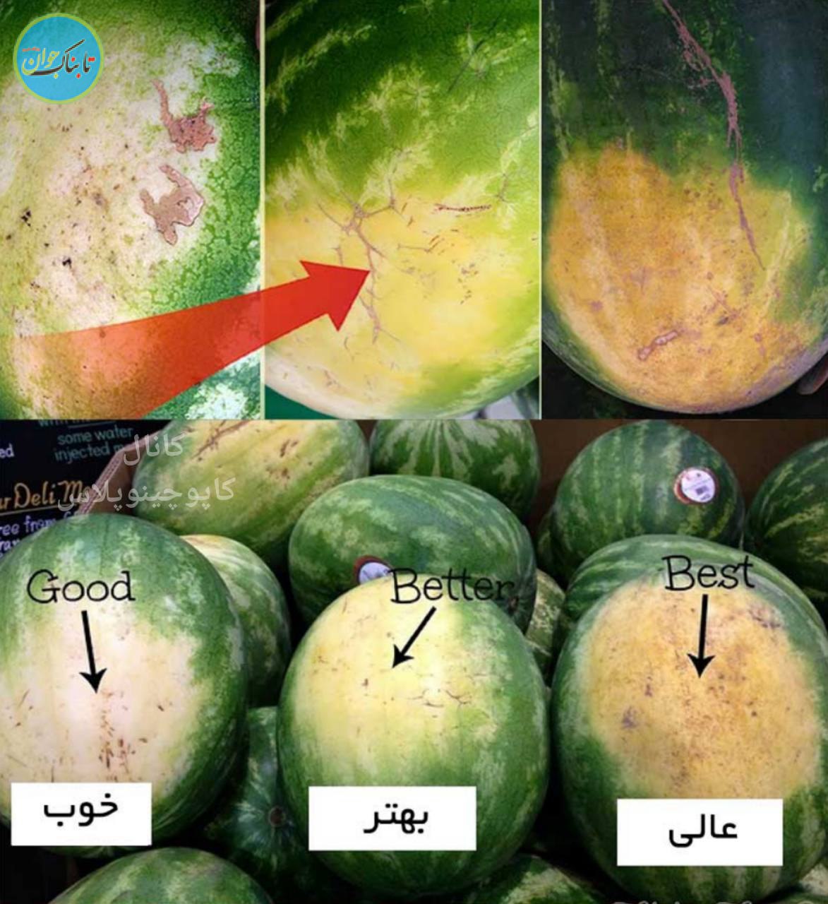 لکه هندوانه