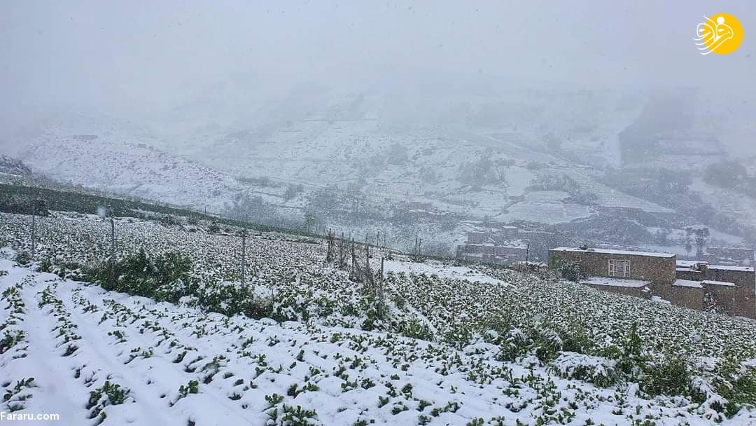 بارش برف سنگین در همسایگی ایران