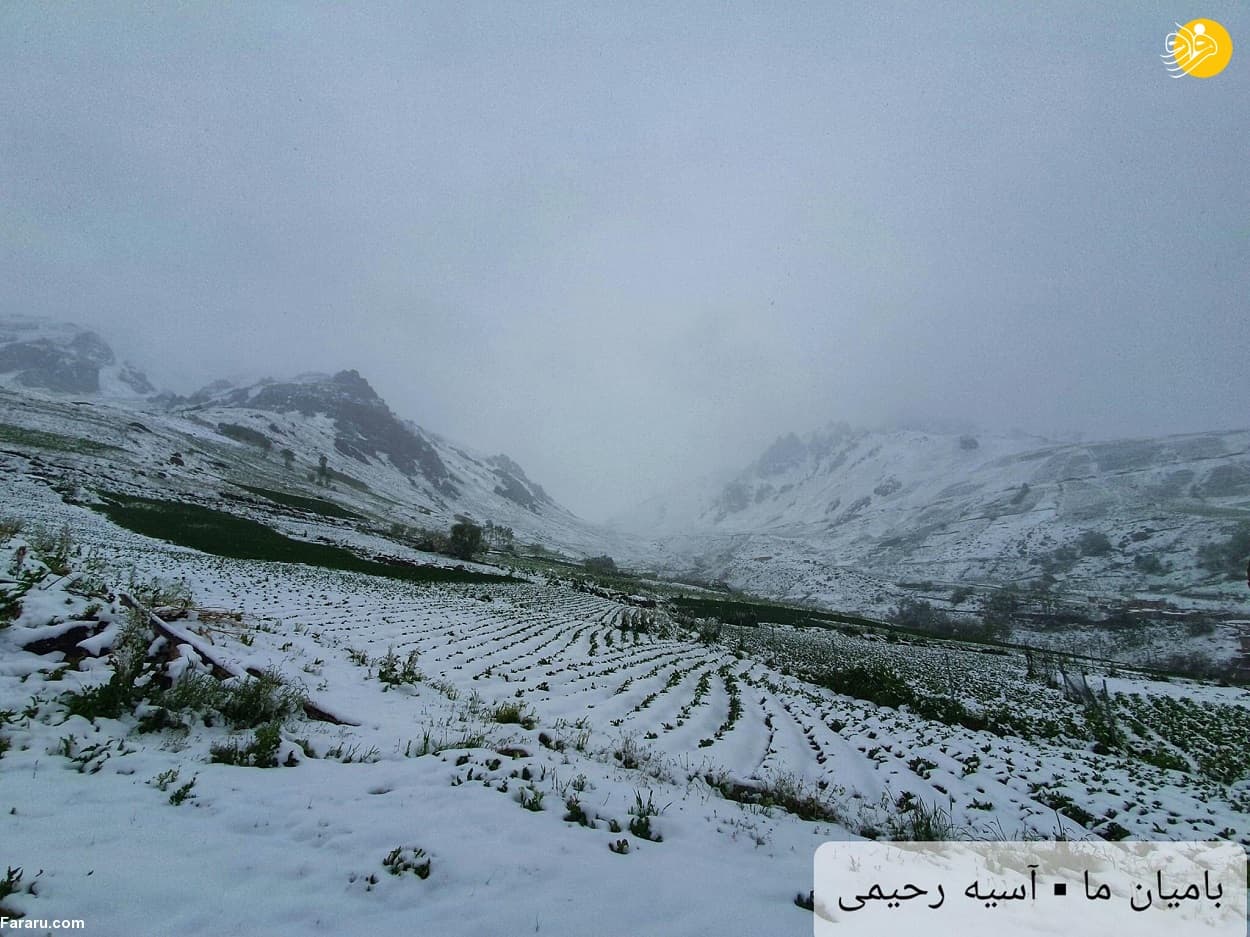 بارش برف سنگین در افغانستان