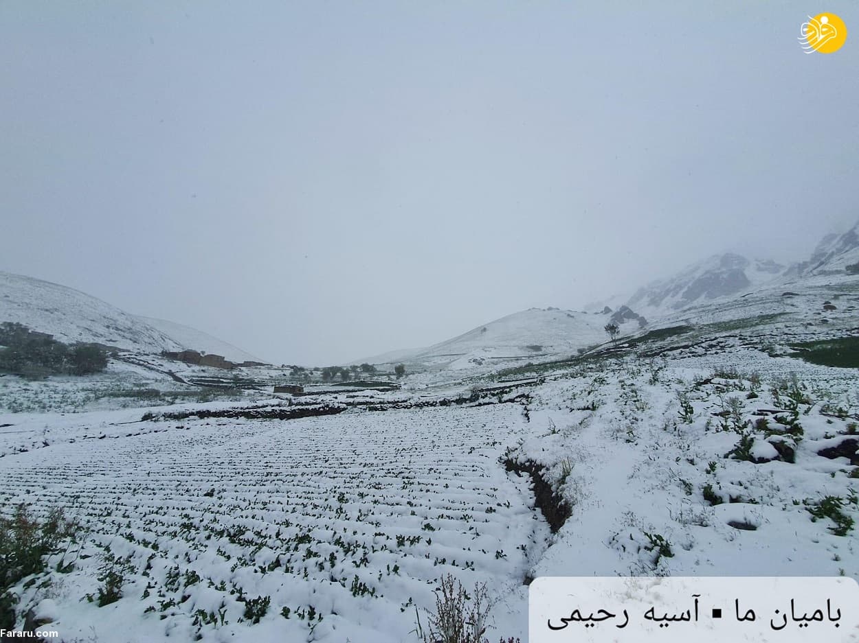 بارش برف سنگین در بامیان افغانستان