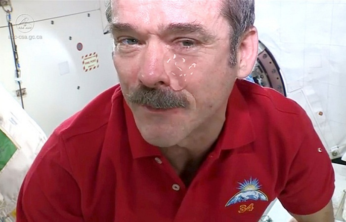 گریه فضانوردان 