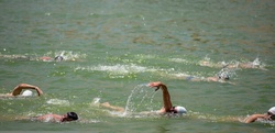 معرفی برترین‌های مسابقه شنای آب‌های آزاد کشور در خرم‌آباد