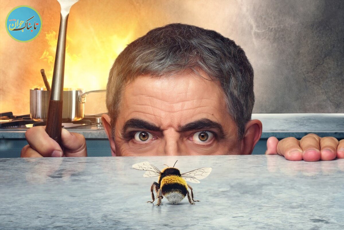 سریال مرد علیه زنبور