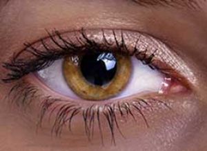 رنگ چشم درباره اجدادتان چه می گوید؟
