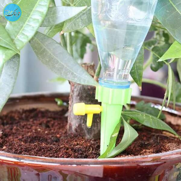 استفاده از آب بانک برای گیاهان