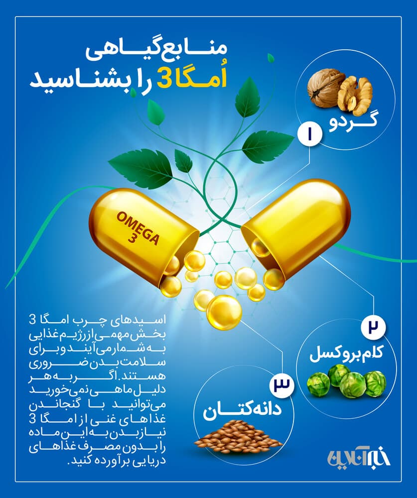 منابع گیاهی امگا ۳
