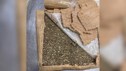 کشف ماری‌جوانا از بسته‌های کره بادام زمینی در فرودگاه