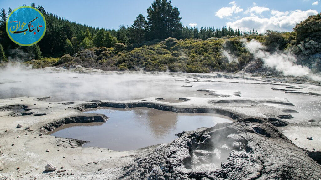 چشمه‌های گل و آب گرم نیوزلند