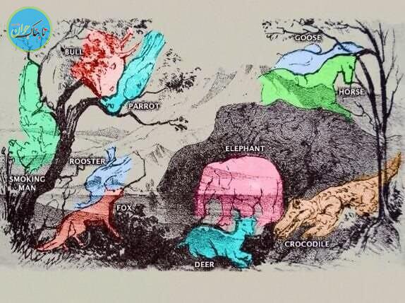 تست هوش با جواب