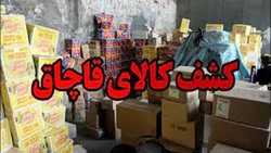 کشف ۴۰ میلیارد کالای قاچاق در جنوب تهران