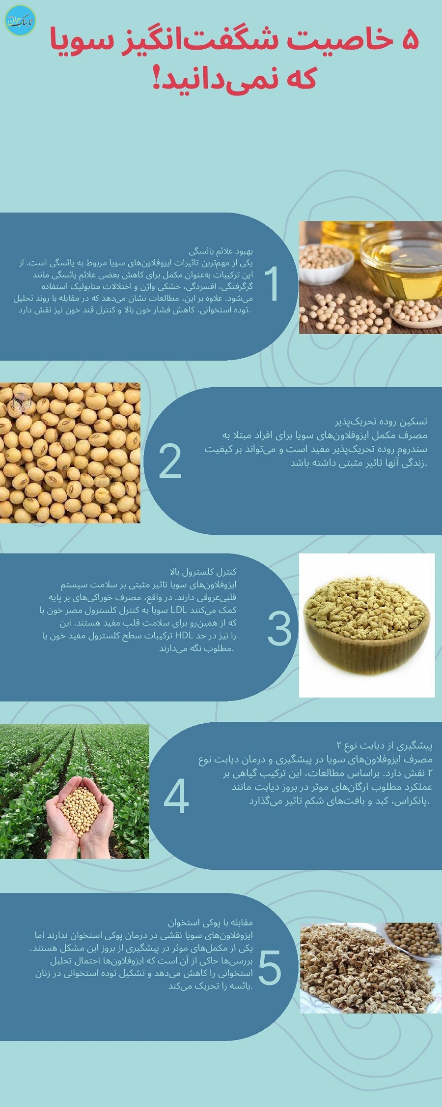 اینفوگرافیک