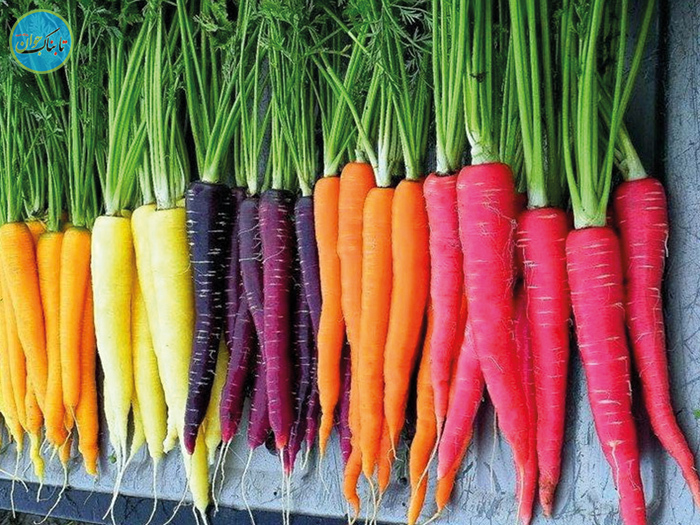 چرا باید هویج بخوریم؟
