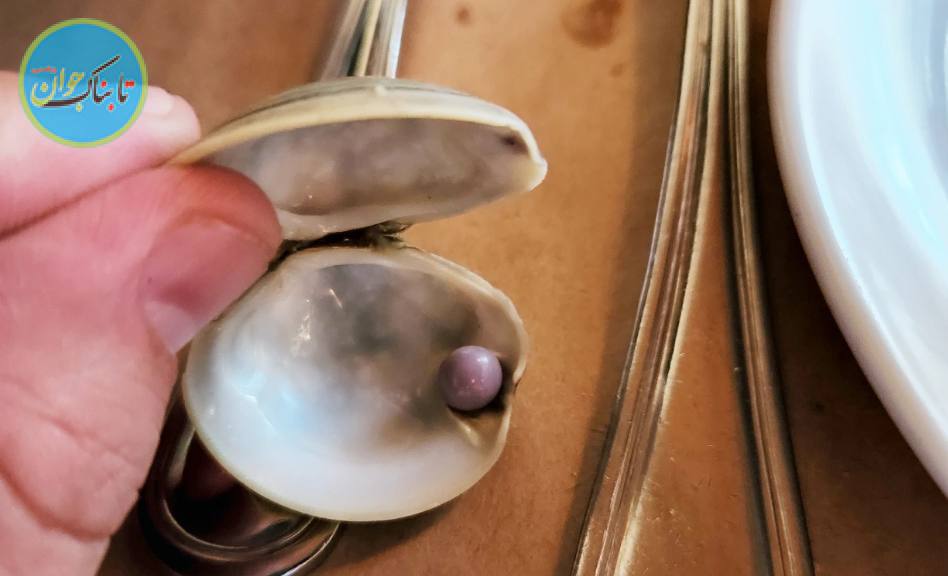 خوش،شانس ترین مشتری تاریخ رستوران های دنیا خوش،شانس ترین مشتری تاریخ رستوران های دنیا