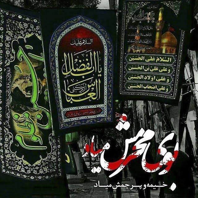 استوی پیشواز محرم ۱۰۴۱+عکس