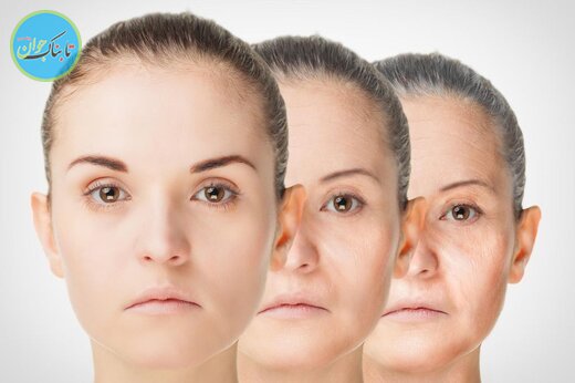 خواص شگفت‌انگیز یک مکمل غذایی در جلوگیری از پیر شدن