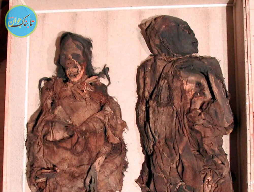 کشف مومیایی‌هایی که به فرط عجیبی کشته شدند!