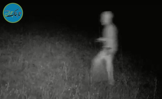 آیا موجودات فضایی وجود دارند؟ آیا موجودات فضایی وجود دارند؟