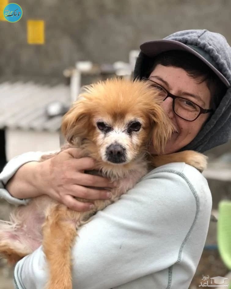 مراسم خاکسپاری سگ باوفای خانم بازیگر