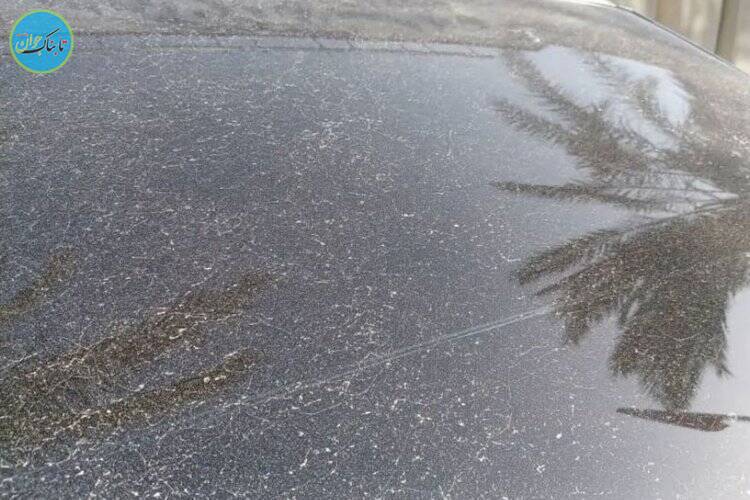 ماجرای بارش پودر سفید در آبادان!
