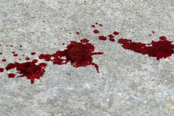 لایو اینستاگرام شر بپا کرد   قتل جوان ۲۱ ساله در چهارباغ