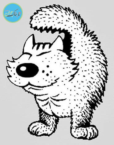 ۱۱ خطای دید جالب با توضیح / خود را محک بزنید! خطای دید چهره