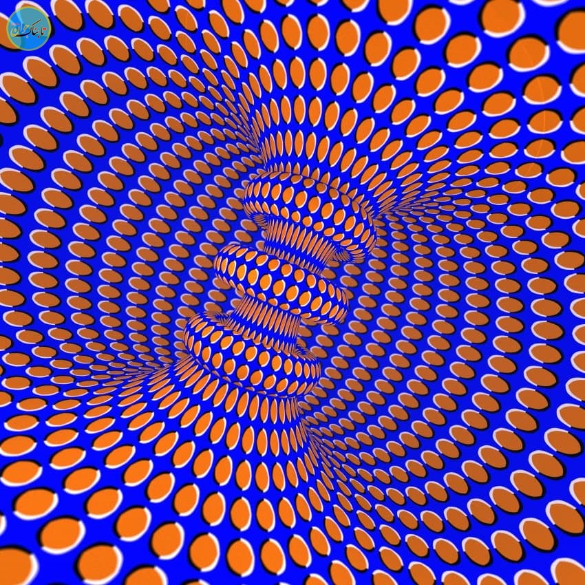 ۱۱ خطای دید جالب با توضیح / خود را محک بزنید! خطای دید متحرک