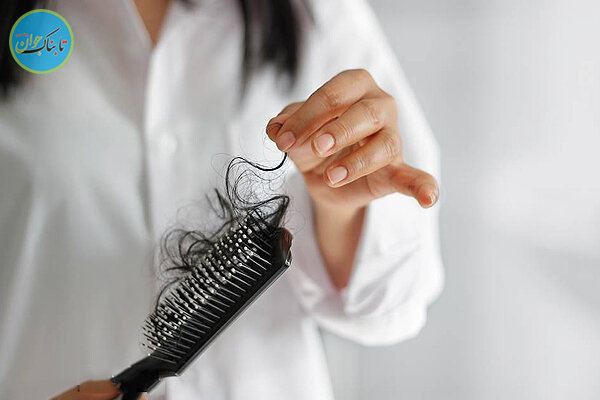 طرز تهیه ۴ شامپوی پرپشت کننده موی سر!