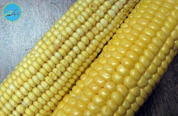 دراوردن ذرت مکزیکی