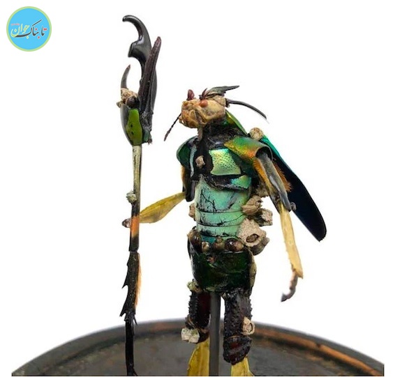 مجسمه حشرات مجسمه حشرات