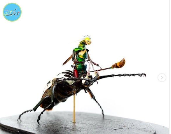 مجسمه حشرات مجسمه حشرات