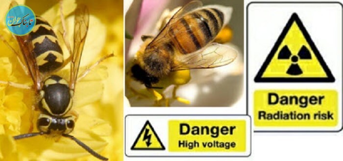 روانشناسی رنگ زرد در تبلیغات