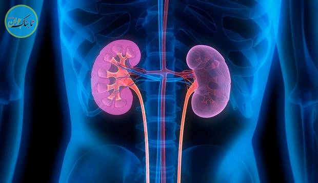 مشکلاتی که کم ابی برای بدن ایجاد می کند! مشکلاتی که کم ابی برای بدن ایجاد می کند!